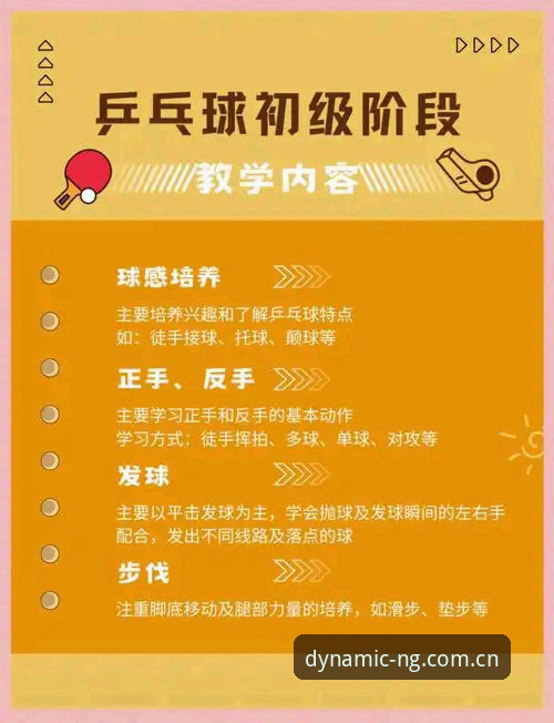 新手必看！资深用户分享NG体育最新版下载的完整使用心得与实战经验