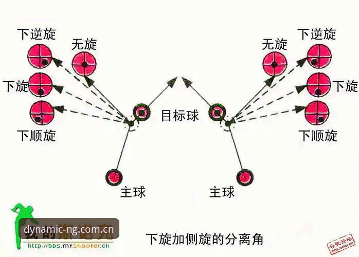 NG体育下载教程手机版 NG体育下载教程手机版完整指南:从安装到使用的深度解析